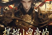 摆烂小皇帝的明君养成计划小说的无弹窗阅读体验,寻找免费阅读网站-艾米文学