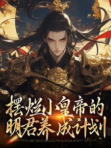 摆烂小皇帝的明君养成计划小说的无弹窗阅读体验，寻找免费阅读网站