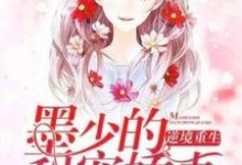 逆境重生：墨少的甜宠娇妻这本小说在哪里可以看？哪里有免费试读章节？-艾米文学