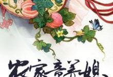 农家童养媳主角白小菀上官天寰楚烨小说完结版章节在线阅读-艾米文学