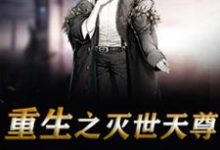 完结版《重生之灭世天尊》免费阅读-艾米文学