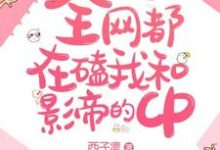 全网都在磕我和影帝的CP小说的免费电子版在哪里可以下载或阅读?-艾米文学