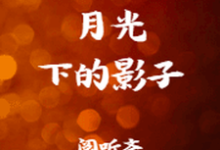 月光下的影子小说无弹窗阅读的网站推荐-艾米文学
