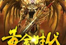 黄金时代刘磊叶兰小说免费阅读-艾米文学