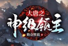 李俊为主角的小说好看吗?免费读大唐之神级领主-艾米文学