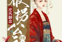 完整版的逆风翻盘：被拐公主回宫记小说在哪里可以免费读到？-艾米文学