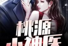 王小善小辣椒的完整故事在哪里？读桃源小神医小说-艾米文学