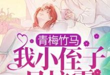 主人公叫江稚沈辞安的小说青梅竹马:我小侄子是校霸在线阅读章节-艾米文学