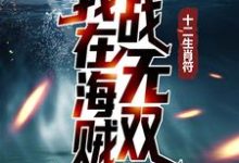 免费在线阅读十二生肖符：我在海贼战无双小说的正规网站有哪些？-艾米文学