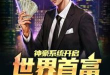 已完结小说《神豪系统开启，世界首富是我滴》在线章节阅读-艾米文学