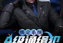 绑定系统:A级通缉犯说抓就抓小说完结了吗?在哪里可以免费读到?-艾米文学