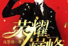 荣耀巅峰林言陈惊蛰小说免费阅读-艾米文学