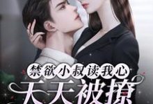 禁欲小叔读我心,天天被撩失控了这本小说完结了吗?免费查看最新章节-艾米文学