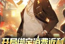 小说《开局绑定消费返利,这人生赢麻了》在线章节阅读-艾米文学