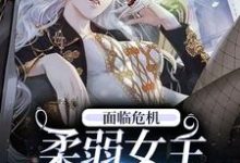 主人公叫辛鹊骆华意的小说哪里免费看-艾米文学