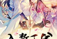 小说《入赘王爷》章节免费阅读-艾米文学