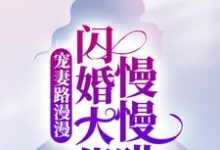 完结版《宠妻路漫漫,闪婚大佬慢慢哄》免费阅读-艾米文学