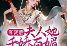 和离后,夫人她千娇百媚入主侯府小说,和离后,夫人她千娇百媚入主侯府顾昕微苏清泉-艾米文学
