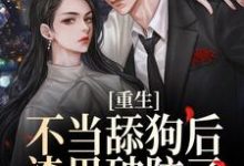小说《重生不当舔狗后，渣男破防了》在线章节阅读-艾米文学