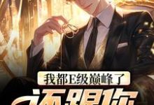 完结版《我都E级巅峰了,还跟你讲道理?》章节阅读-艾米文学