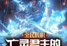 哪里能找到全民转职：亡灵君主的我可以斩神！小说的全部章节？-艾米文学