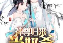 主人公叫秦洛安颜的小说神尊归来当奶爸在线阅读章节-艾米文学
