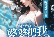老公死后,婆婆把我给卖了在线阅读_不吃香菜-艾米文学