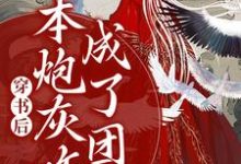 穿书后，本炮灰咋成了团宠免费阅读，穿书后，本炮灰咋成了团宠章节在线阅读-艾米文学