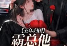 五年归国,霸总他紧追不舍小说全文哪里可以免费看?-艾米文学
