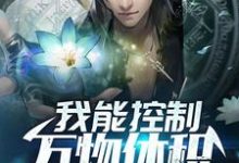 秦风林可可小说《我能控制万物体积》在线阅读-艾米文学