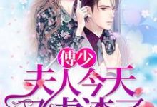 傅少，夫人今天又虐渣了小说，傅少，夫人今天又虐渣了章节在线阅读-艾米文学