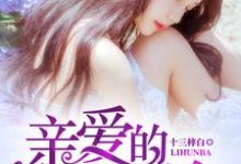 亲爱的,离婚吧小说有没有完整的免费版本在线阅读?-艾米文学