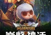 已完结小说《英雄联盟之巅峰神话》最新章节-艾米文学