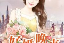 好婚晚来这本小说在哪里可以看？哪里有免费试读章节？-艾米文学