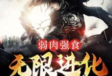 主角叫叶天狼爹的小说在哪阅读-艾米文学