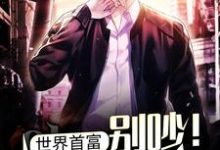 小说《世界首富：别吵！忙着亏钱！》章节免费阅读-艾米文学