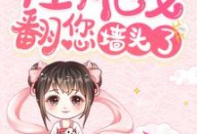 娘娘,陛下他又翻您墙头了!小说全文阅读需要付费吗?寻找免费资源-艾米文学