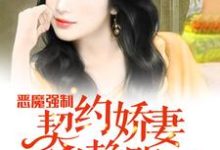 恶魔强制：契约娇妻别赖账小说，恶魔强制：契约娇妻别赖账最新章节-艾米文学