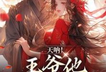 天呐!王爷他还在追妻萧洛何姣姣小说大结局免费试读-艾米文学