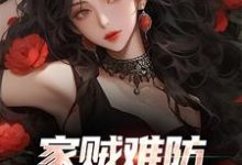 许野陈青青是哪本书的主角？家贼难防：老婆是个扶弟魔免费读-艾米文学