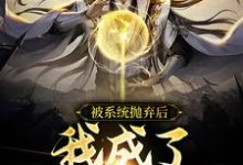 免费在线阅读被系统抛弃后，我成了绝世高手小说的正规网站有哪些？-艾米文学