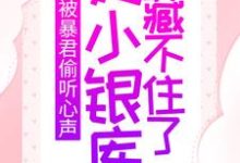 被暴君偷听心声，她小银库藏不住了小说，被暴君偷听心声，她小银库藏不住了在线阅读-艾米文学