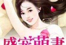 盛宠萌妻小说完结了吗?在哪里可以免费读到?-艾米文学