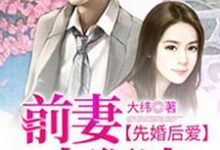 哪里可以免费读到林乐乐陆明朗的完整故事?寻找先婚后爱,前妻太狠决-艾米文学