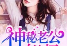 已完结小说《神秘老公有点坏》章节免费阅读-艾米文学