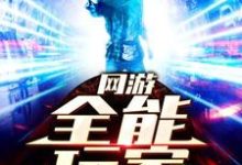 网游：全能玩家小说，网游：全能玩家在线阅读-艾米文学