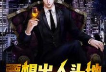 完结版《要想出人头地，就当大反派》章节阅读-艾米文学