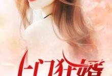 《上门狂婿》小说大结局免费试读 肖舜姚岑小说-艾米文学