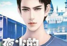 夜少的追妻路章节免费在线阅读，白薇浅夜棠深完结版-艾米文学