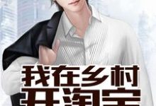 刘志赵灵儿苏菲为主角的小说我在乡村开淘宝在线阅读-艾米文学
